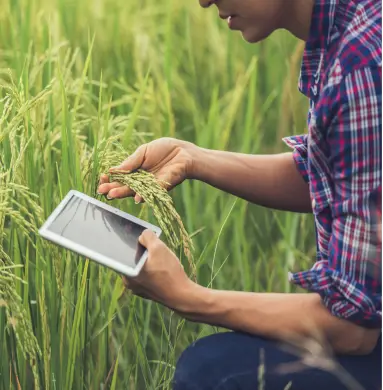 Agriculture industry