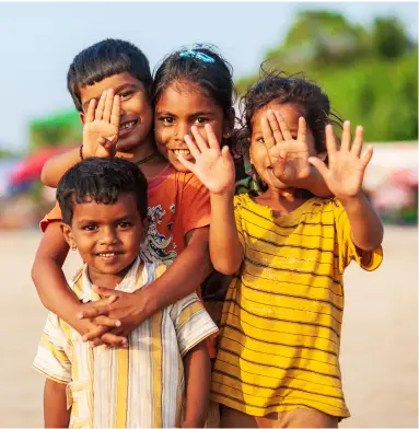 NGO Industry