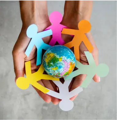 NGO Industry